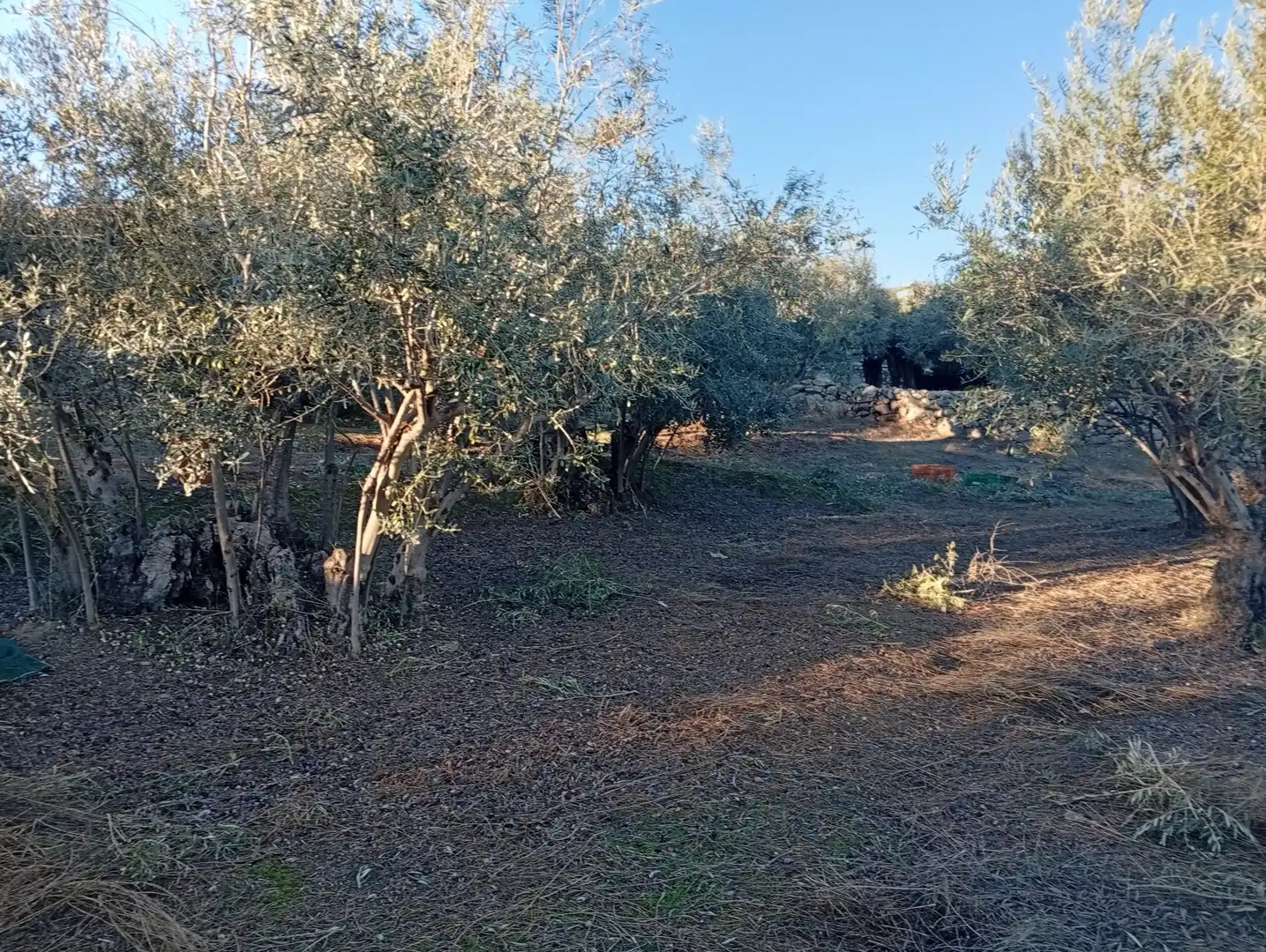 Terreni e lotti in vendita a Villanueva de la Vera, imagen 42