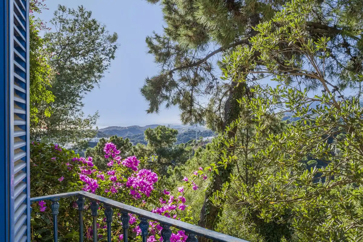 Jardín de Casa o chalet en venta en Marbella con Terraza y Piscina