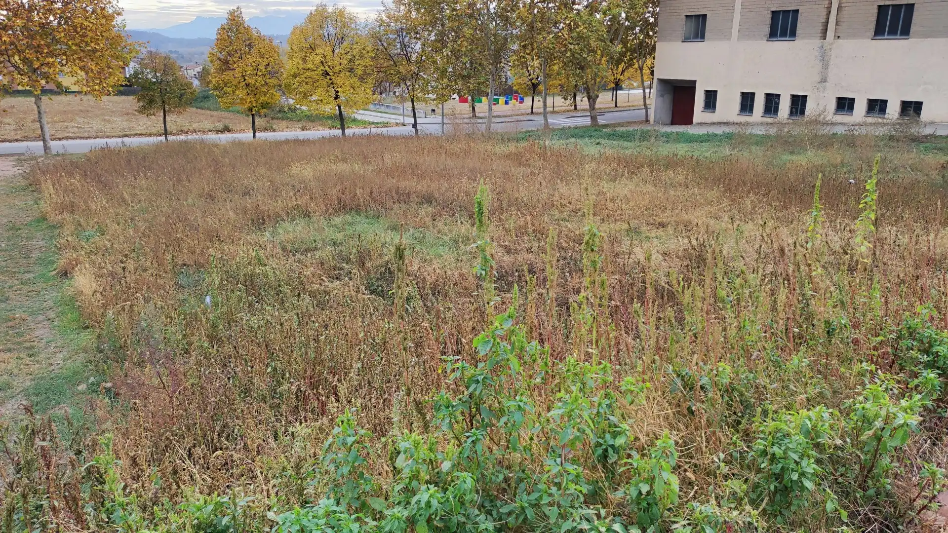 Terrenos y solares en venta en Les Masies de Voltregà, imagen 4