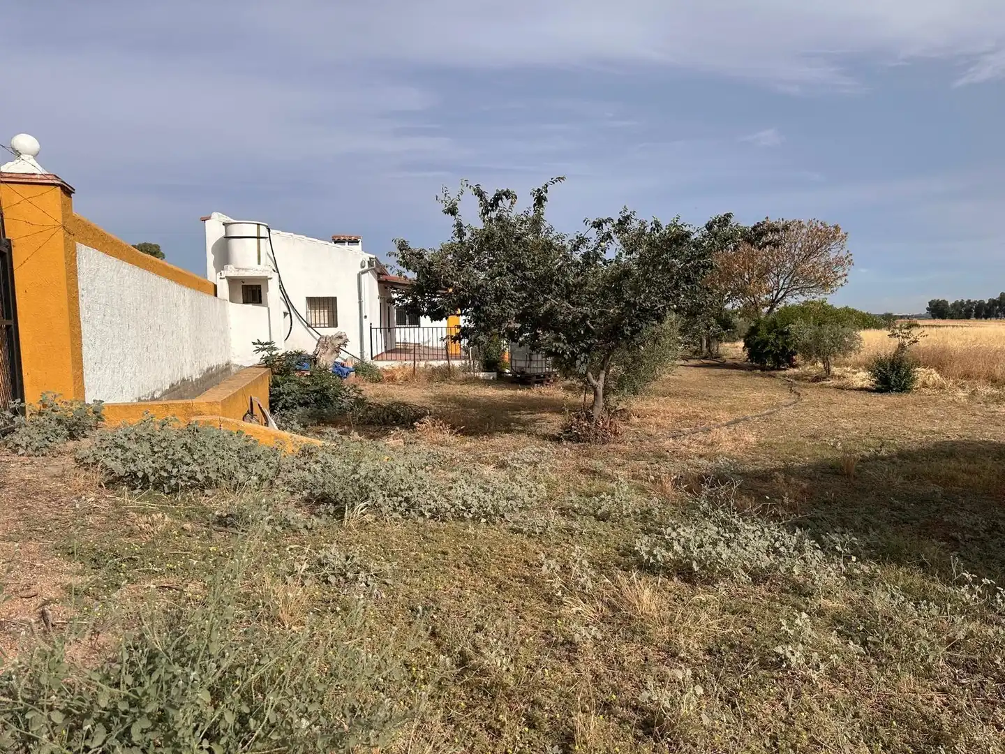 Rural land for sale in Fuente Obejuna, imagen 3