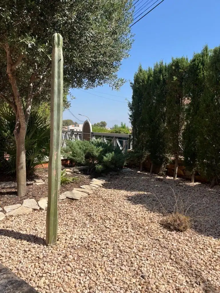 Jardí de Casa o xalet en venda en Las Torres de Cotillas amb Aire condicionat, Calefacció i Parquet