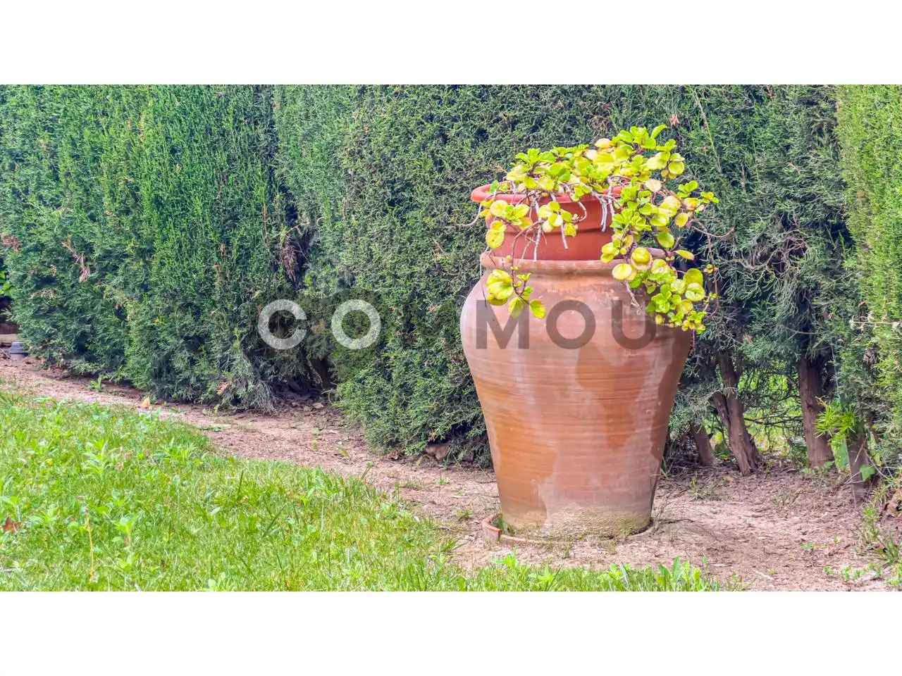 Jardí de Casa o xalet en venda en Palafrugell amb Aire condicionat, Calefacció i Jardí privat