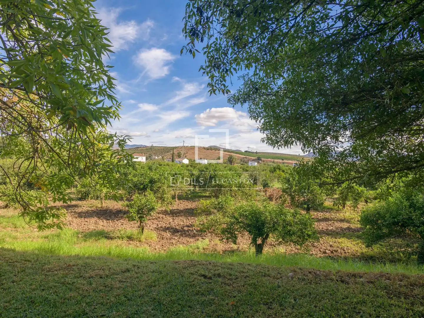 Casa rústica amb piscina en venda a Álora, imagen 70