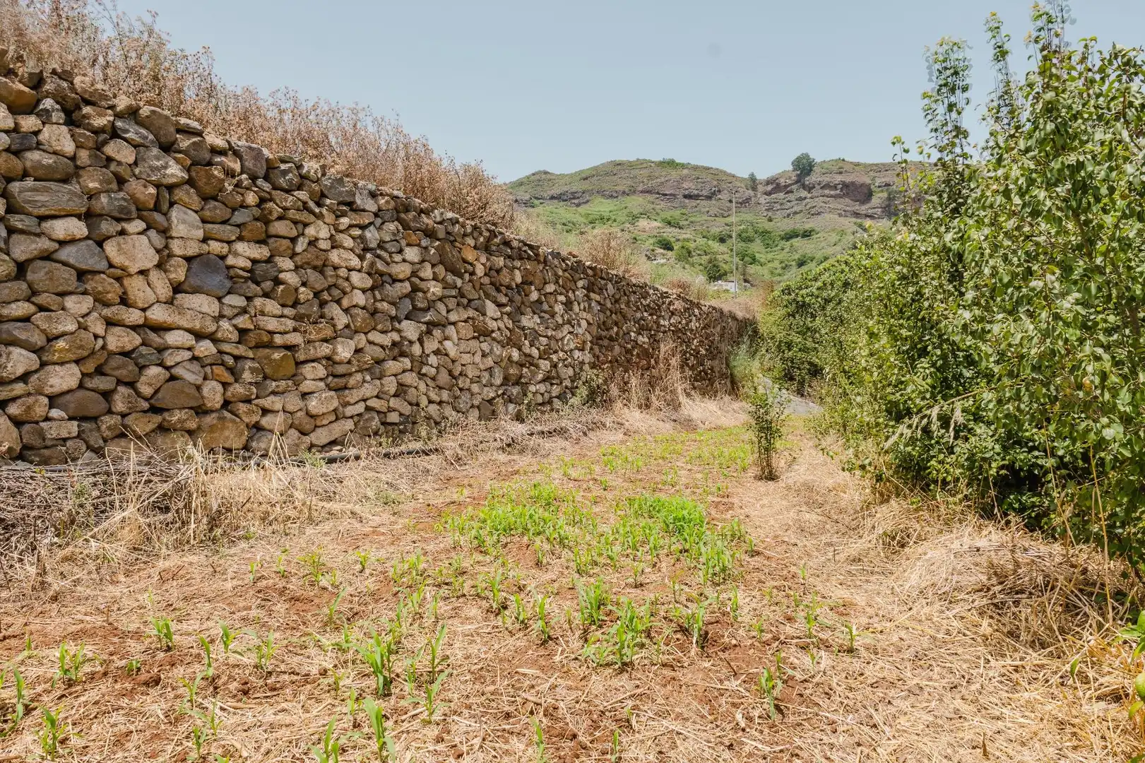 Casa o chalet en venta en Teror con Jardín privado y Terraza