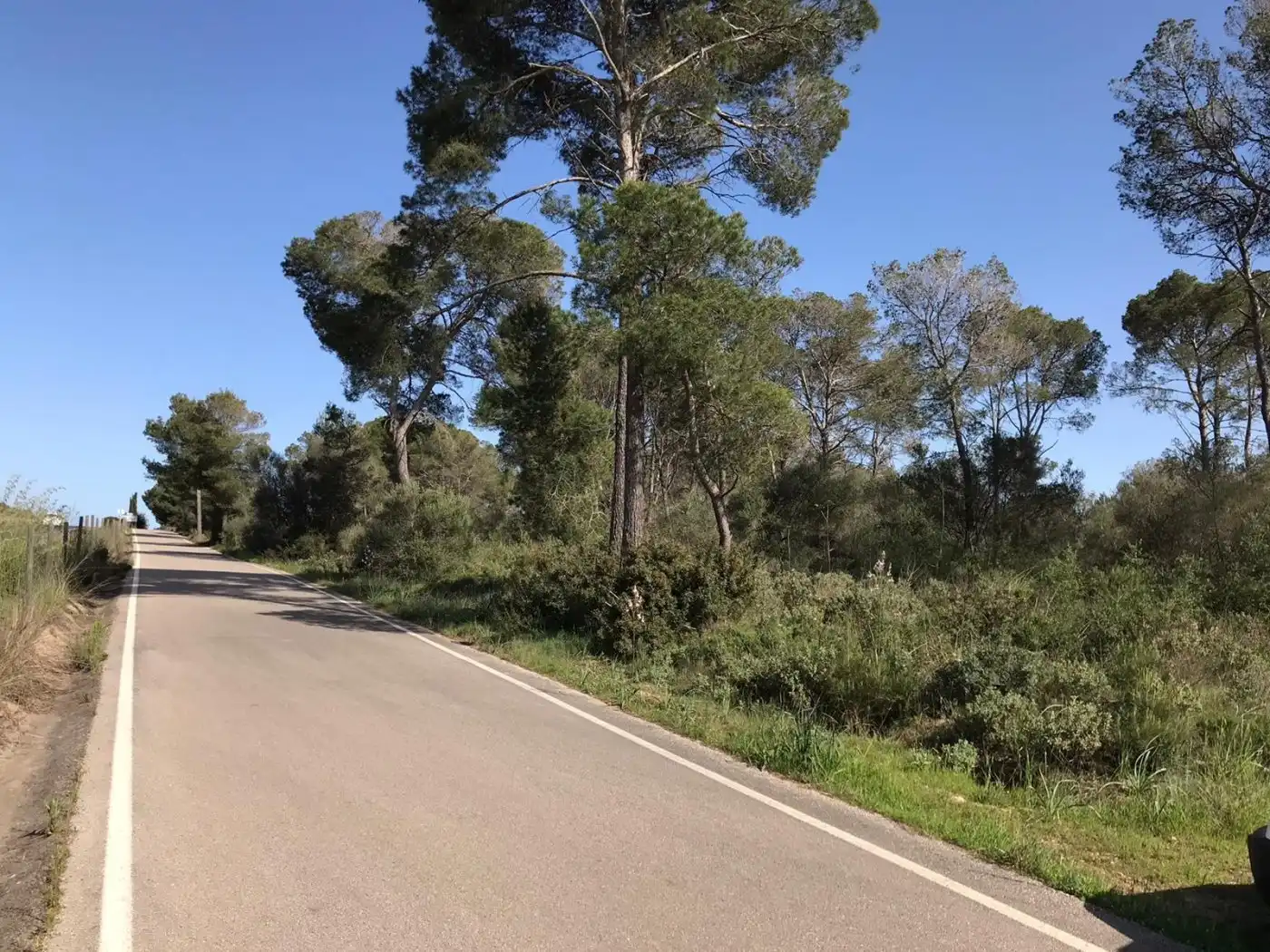 Terrenys i solars en venda a Algaida, imagen 13