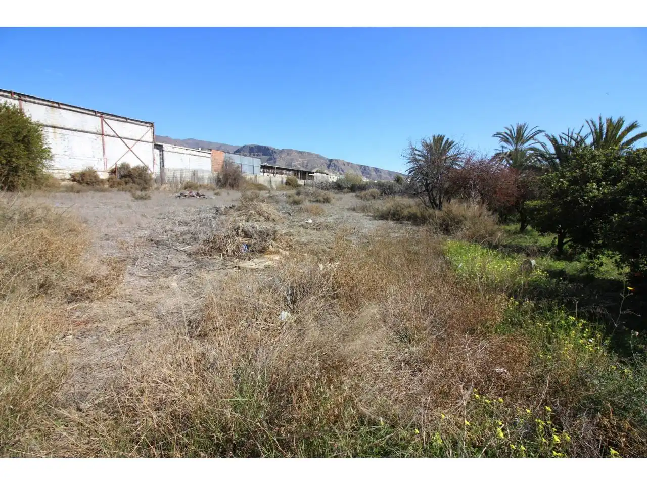 Terreno rustico in vendita a Carretera Alicún, imagen 13