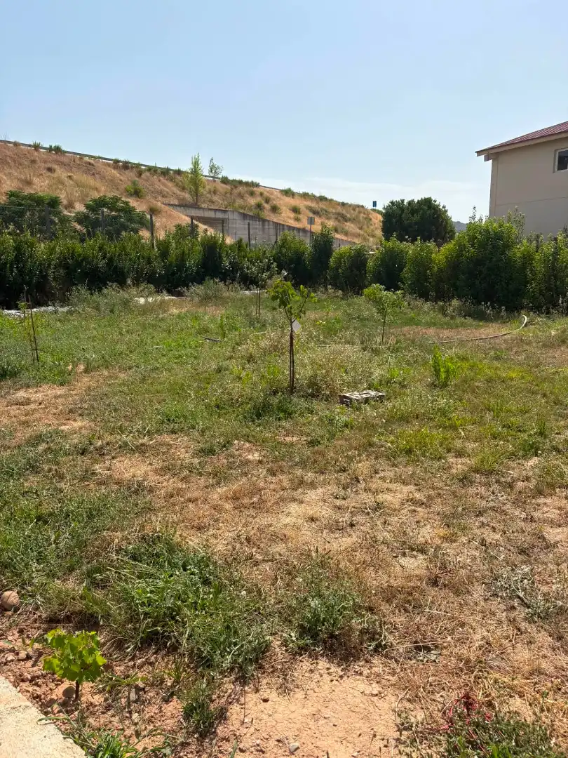 Terreno rústico en venta en La Portalada - Varea, imagen 13