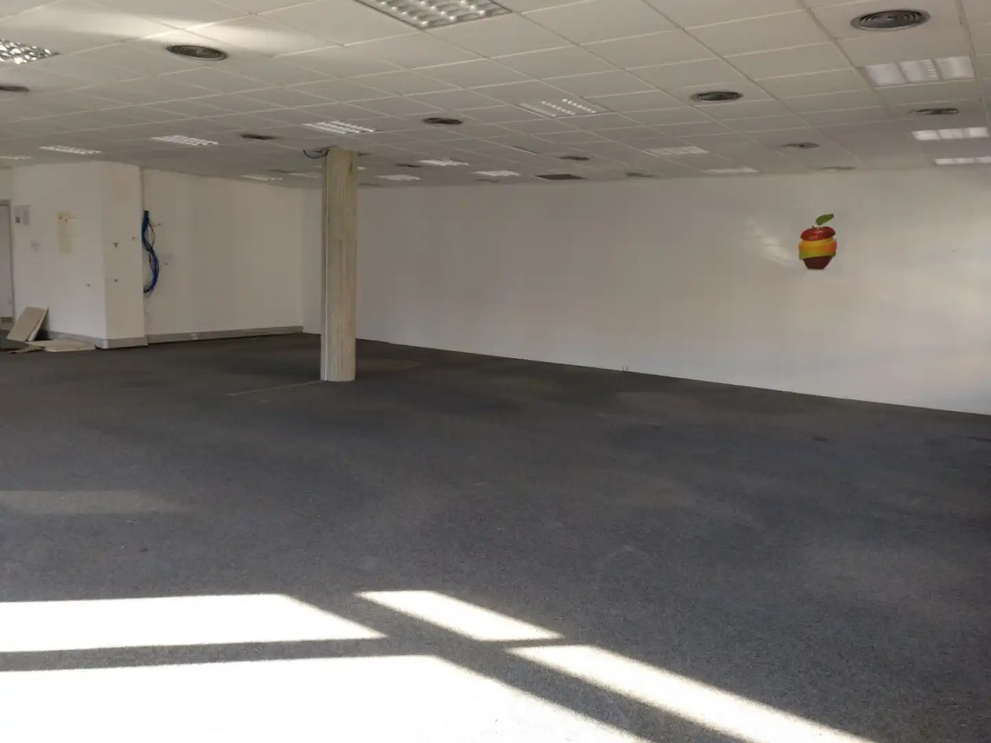 Office space to rent in Cerdanyola del Vallès - PALETES