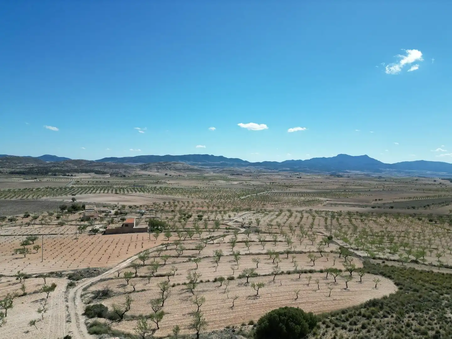 Terreny residencial en venda a Jumilla