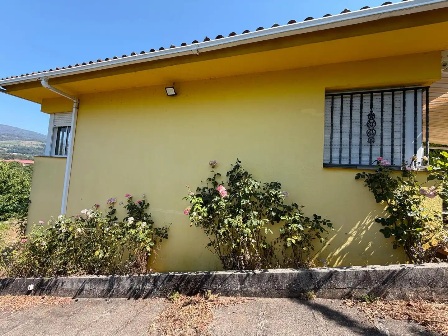 Vista exterior de Casa o xalet en venda en A Cañiza   amb Calefacció, Jardí privat i Terrassa
