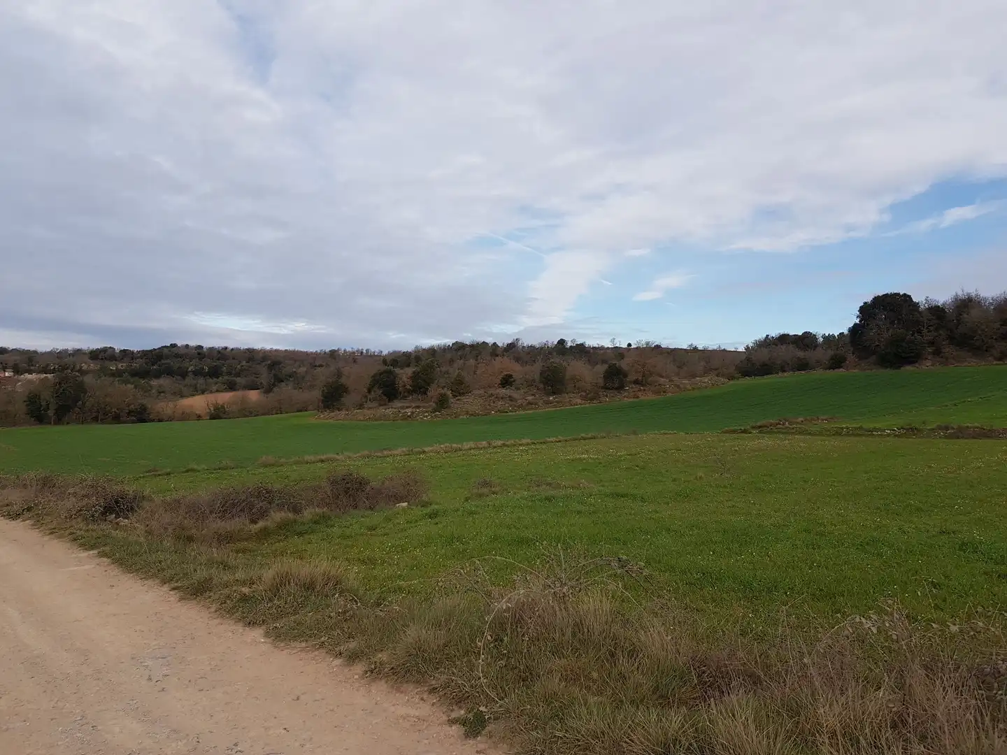 Land for sale in Moià