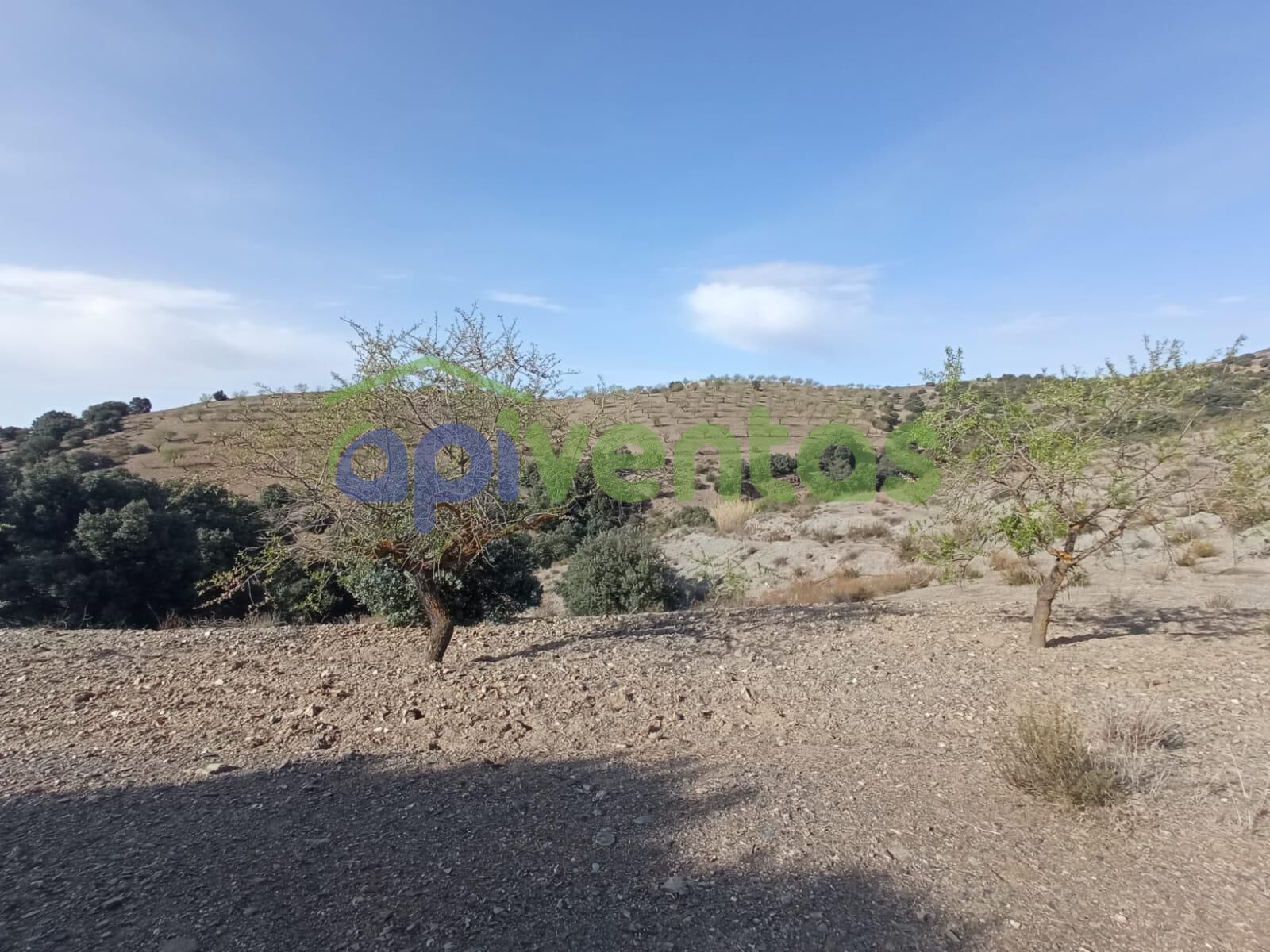 Finca rústica en venda en Vélez-Rubio