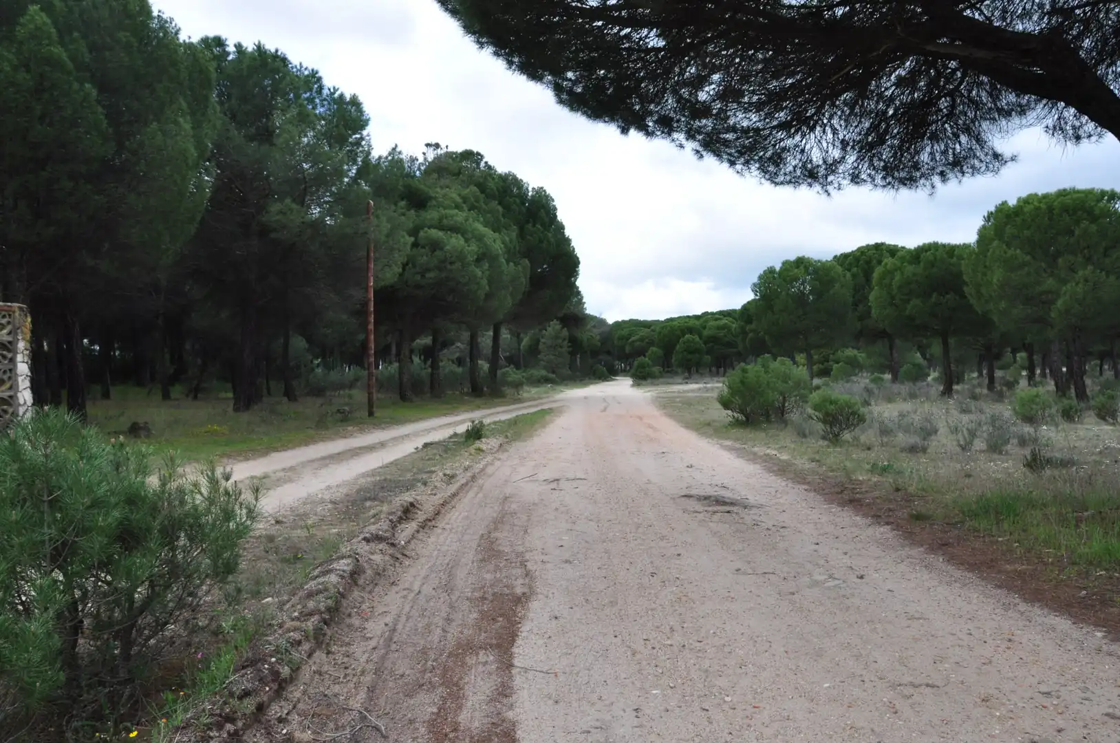 Außenansicht von Residential zum Verkauf in Tudela de Duero