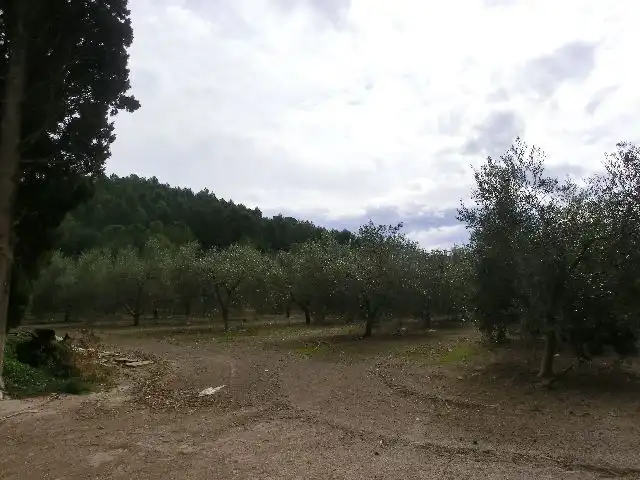 Country house for sale in Bítem, imagen 24