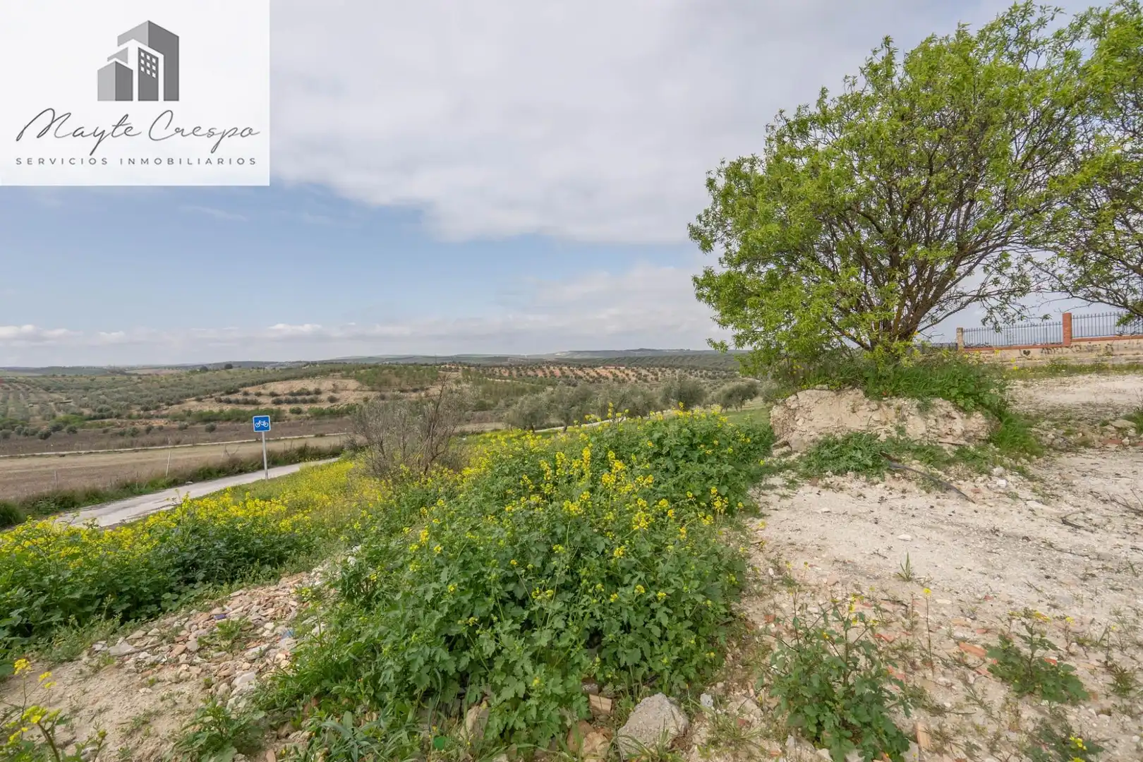 House with pool for sale in Calle del Geranio 29, imagen 42