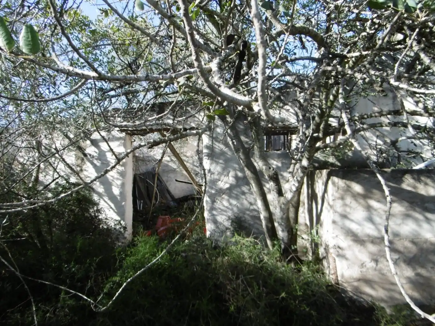 Casa rustica in vendita a Partida muñies, imagen 17