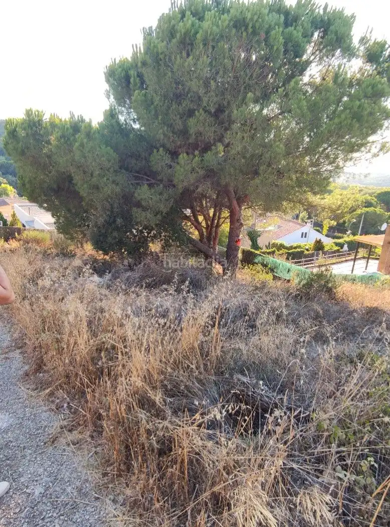Terreno residencial en venta en Carrer la Pineda 3, imagen 8