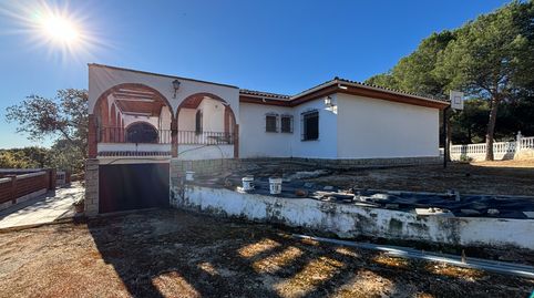 Viña en zona de El Naranjal