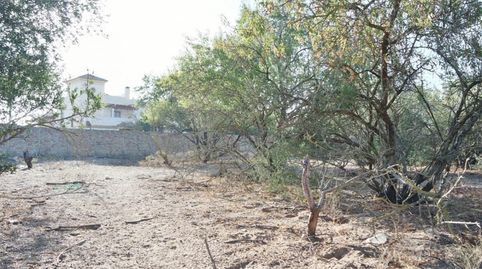 Foto 3 de Casa o chalet en venta en V Centenario - Piletas - Capuchinos, Sanlúcar de Barrameda