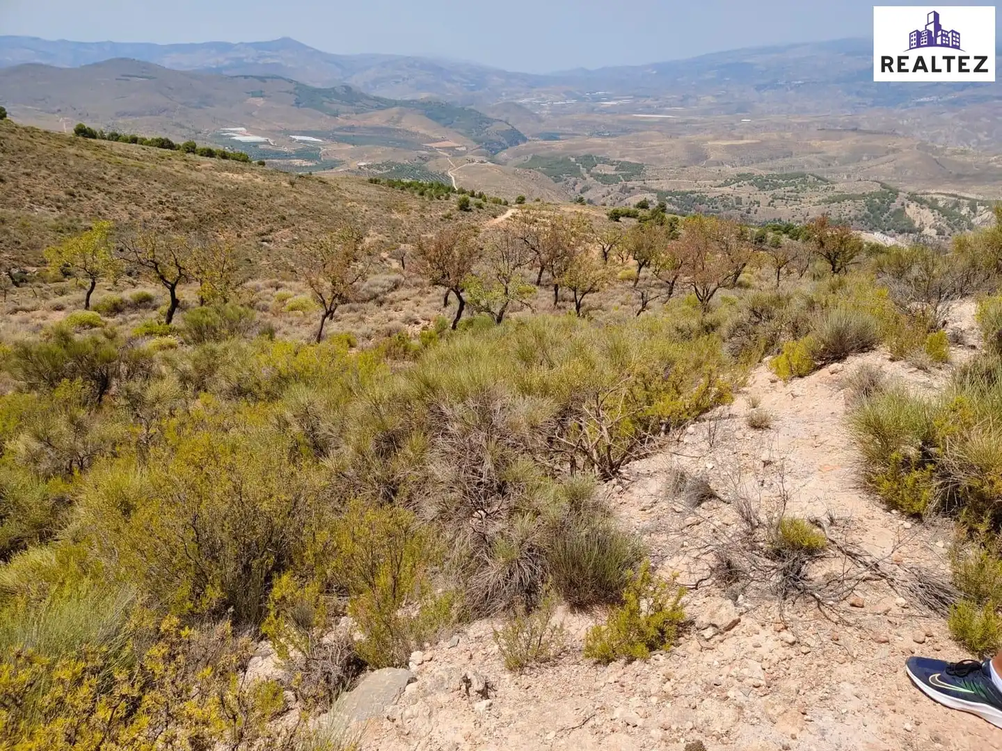 Terrain rustique à vendre à Alcolea, imagen 8