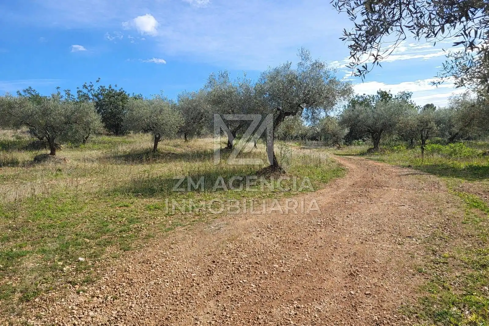 Rural land for sale in Vilagrós, imagen 8