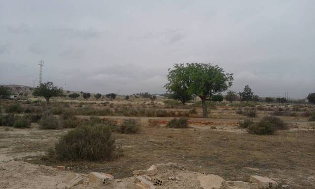 Finca rústica en Venta en Calle LA SARDINA en Santa Faz