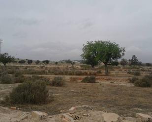 Finca rústica en venda a Calle LA SARDINA, Santa Faz