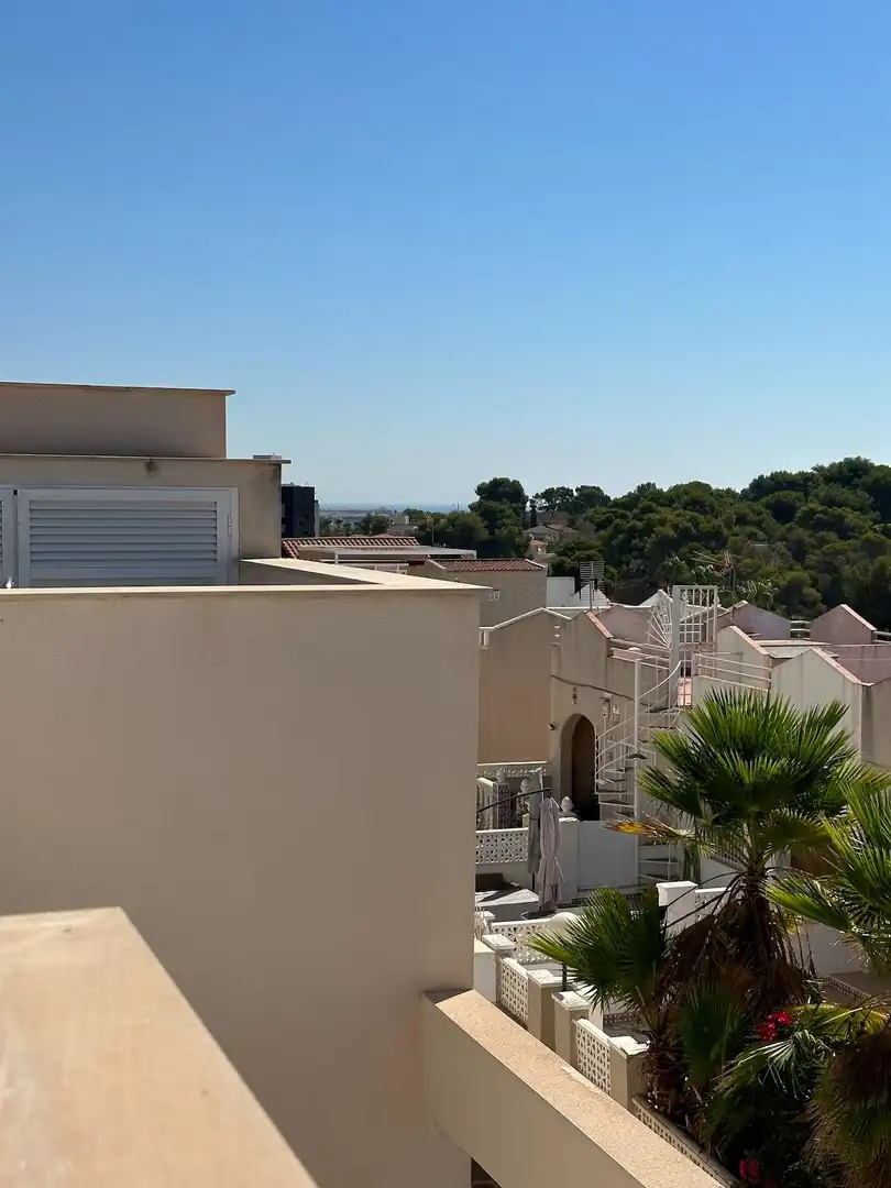 Penthouse mit Terrasse zum Verkauf in Los Balcones - Los Altos, imagen 20
