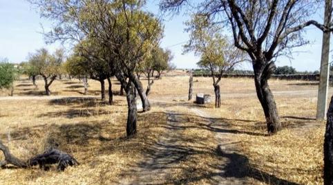 Photo 4 of House or chalet for sale in Casco Antiguo, Cáceres Capital