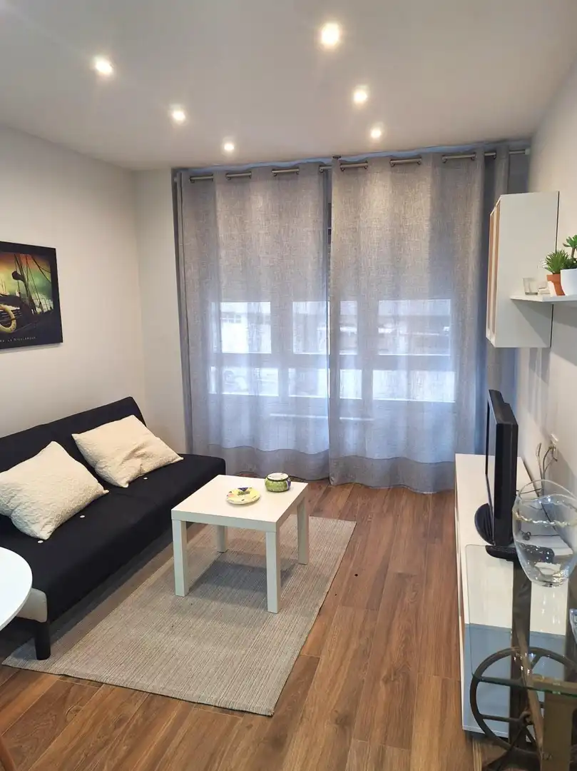 Sala d'estar de Apartament de lloguer en Oviedo  amb Calefacció i Moblat
