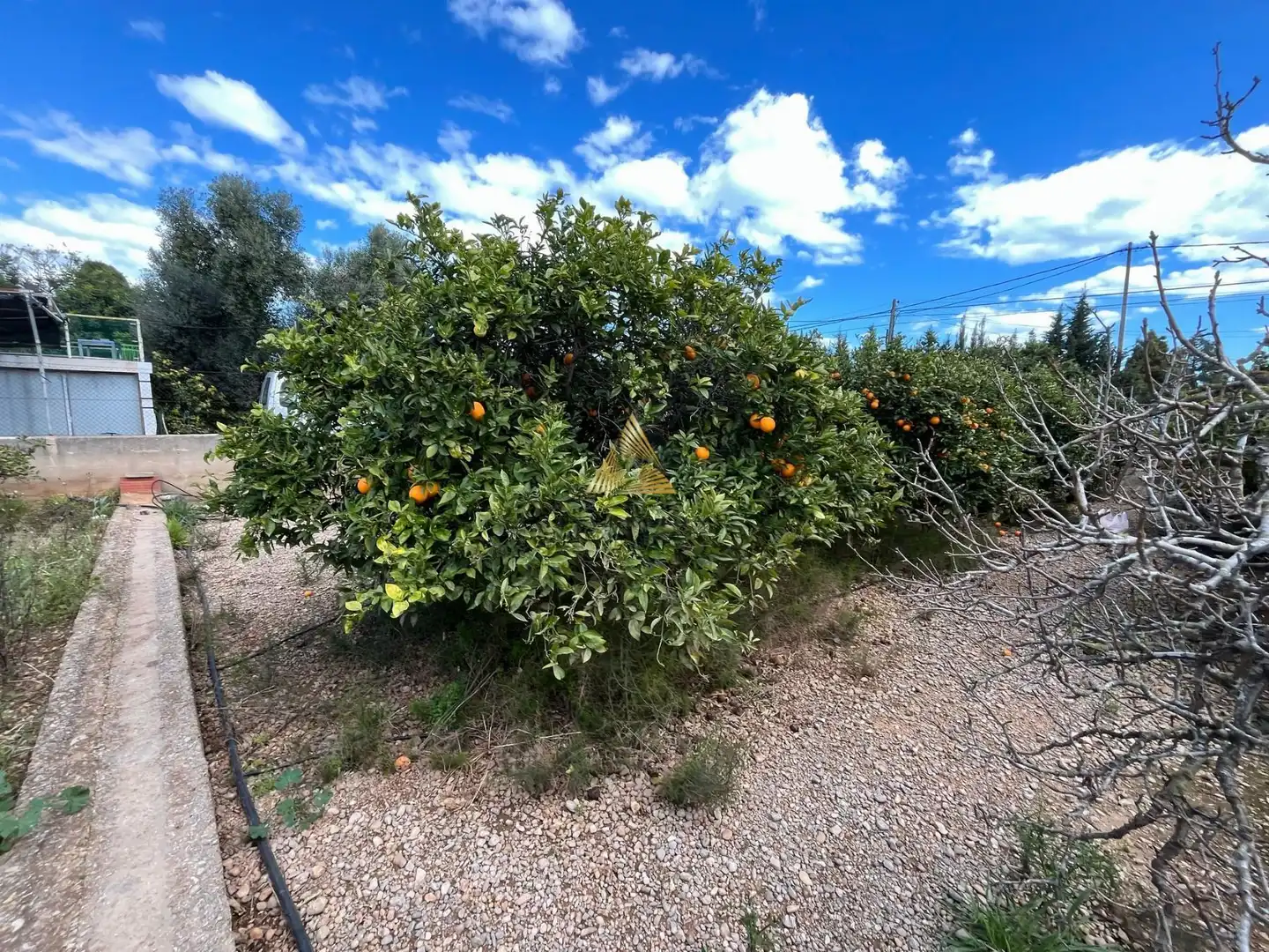 Terrenos y solares en venta en Pueblo, imagen 13