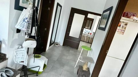 Foto 3 de Finca rústica en venda a Iznate, Málaga