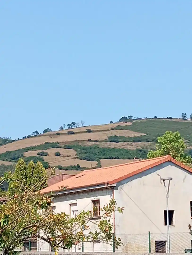 Casa o xalet en venda en Sariego