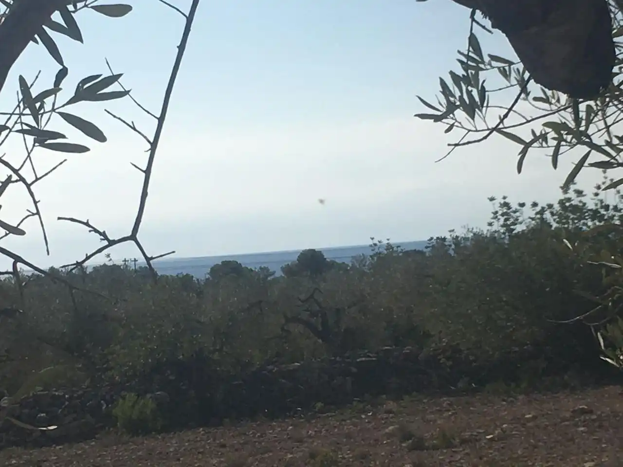 Terrenos y solares en venta en Estany Podrit, imagen 7