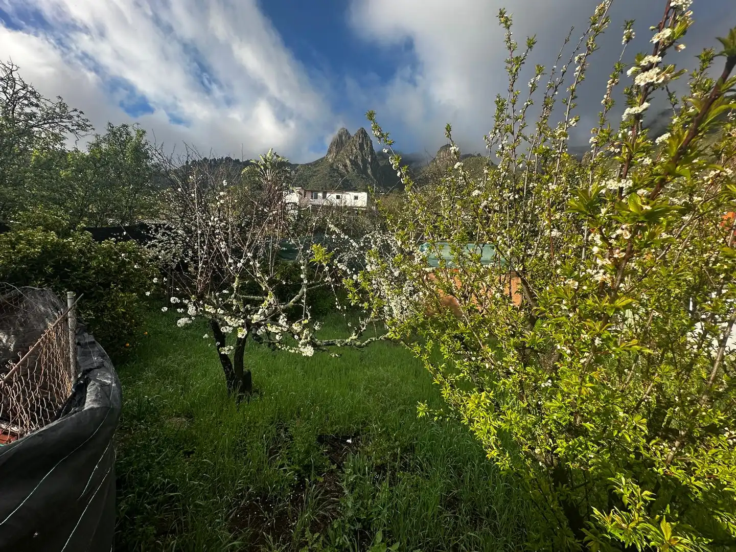 Jardí de Casa o xalet en venda en Valsequillo de Gran Canaria amb Jardí privat, Terrassa i Traster