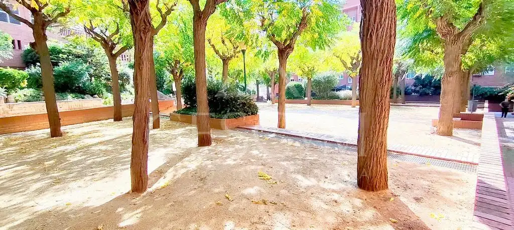 Vista exterior de Piso en venta en Sant Joan Despí con Jardín privado, Terraza y Balcón