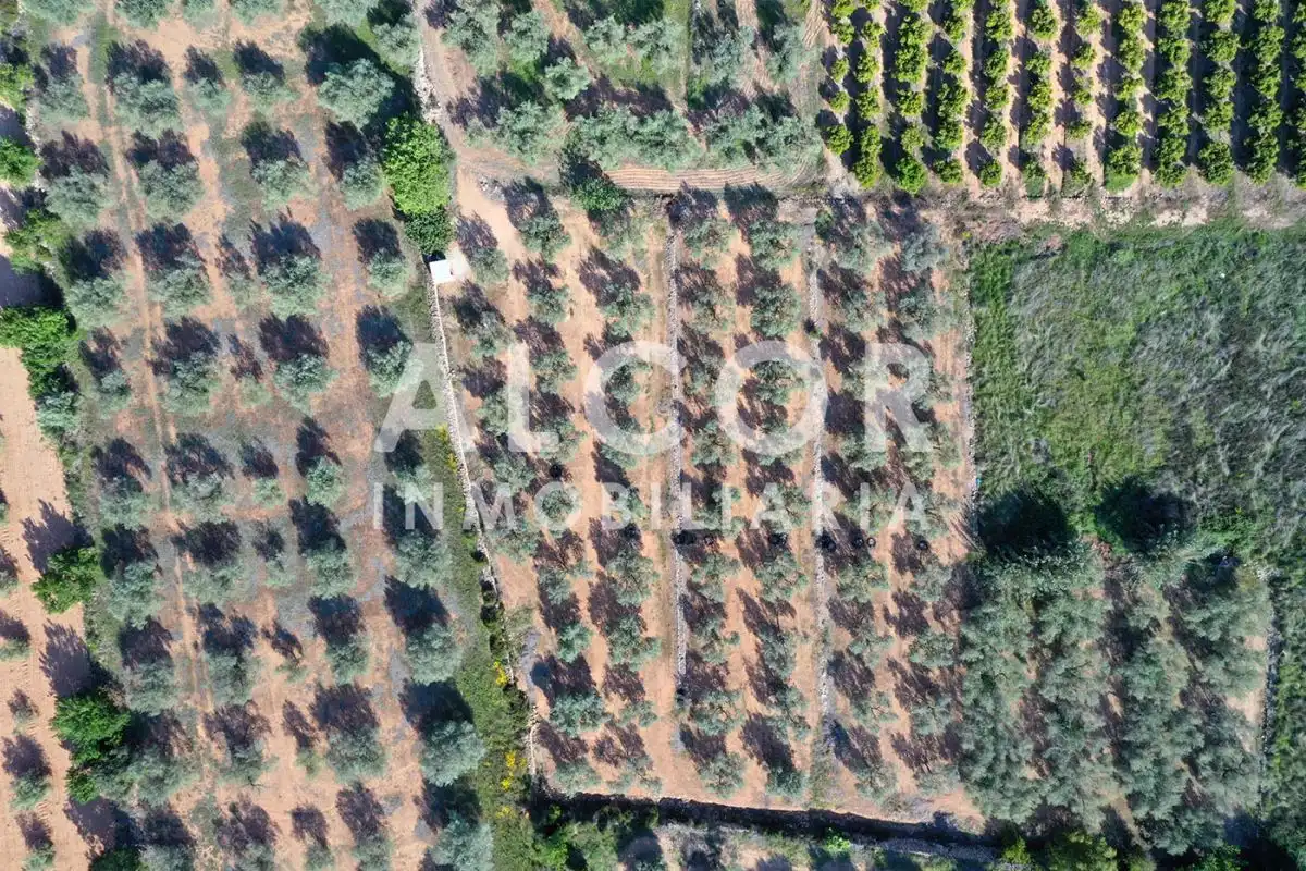 Finca rústica en venta en Cervera del Maestre
