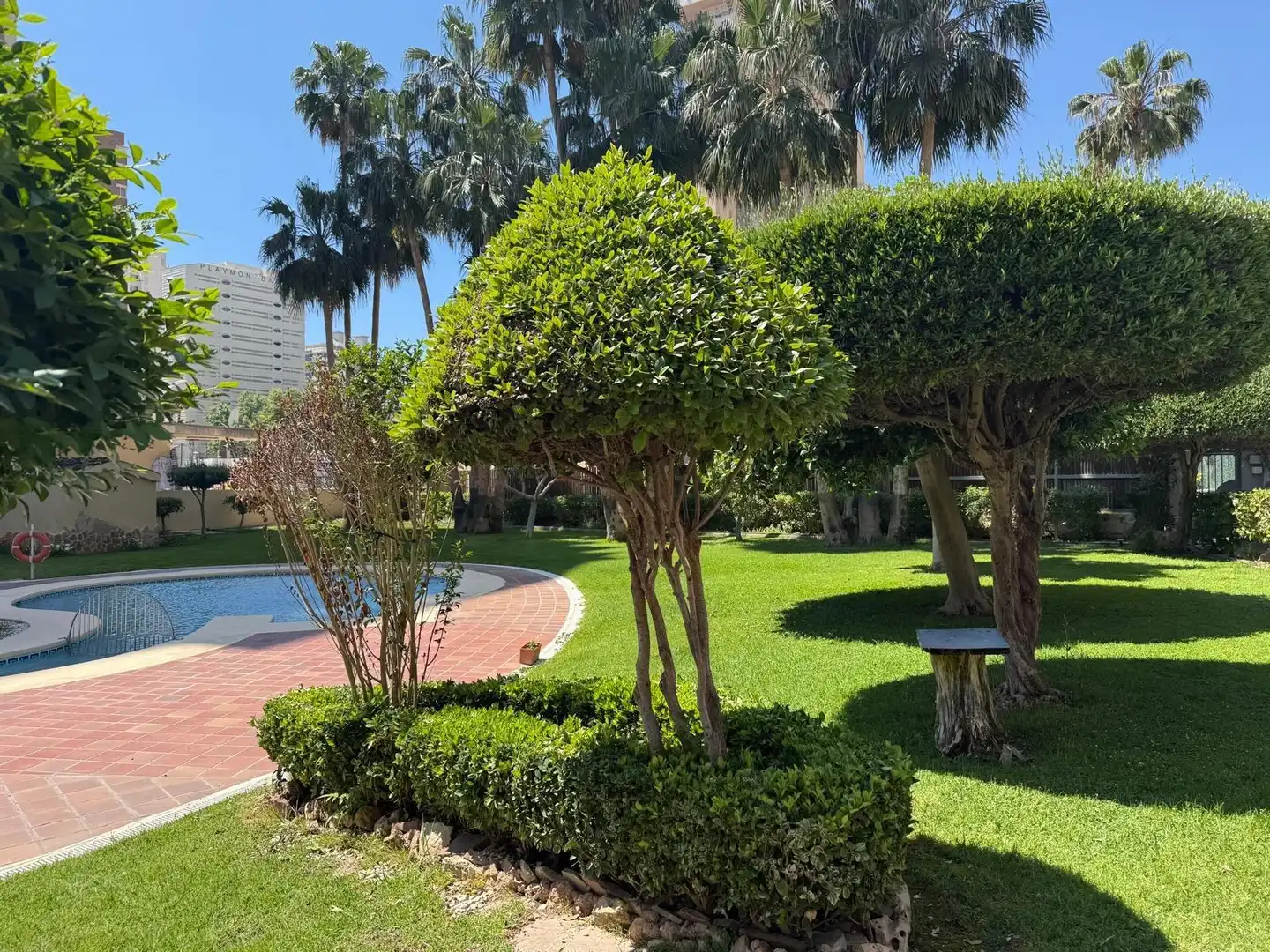 Garden of Apartments for sale in Playa Levante