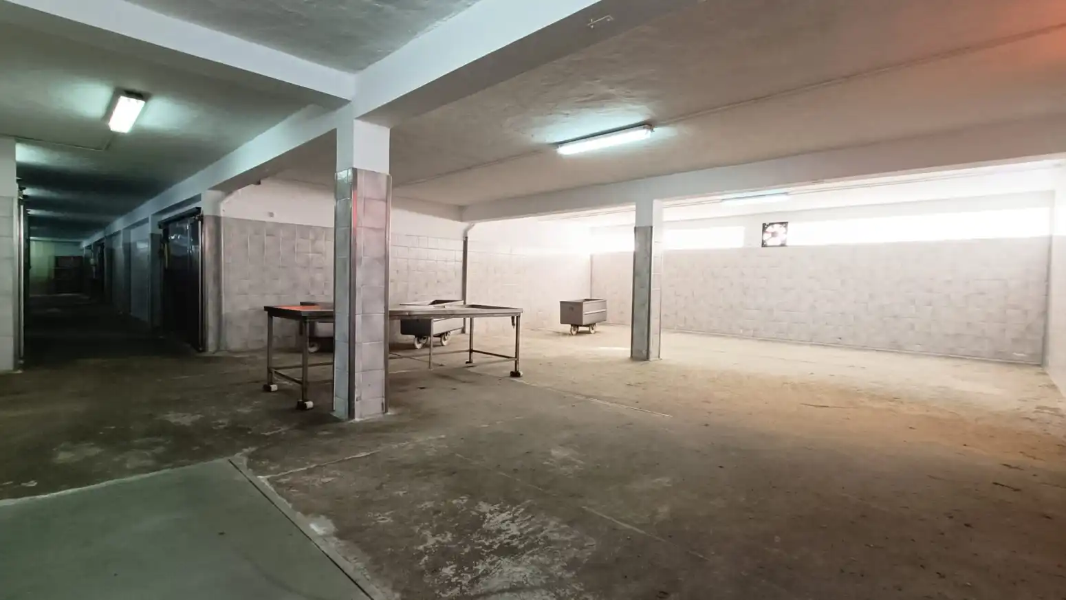 Fabrikhallen zum Verkauf in Tineo