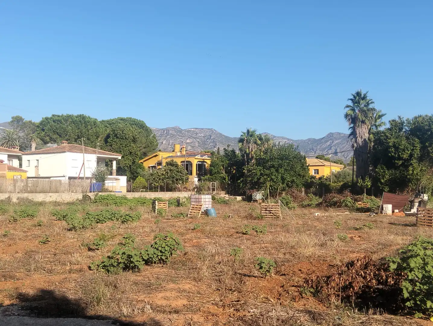 Rural land for sale in Carretera les Basses 6