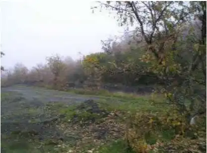 Terreni e lotti in vendita a Matallana de Torío, imagen 2