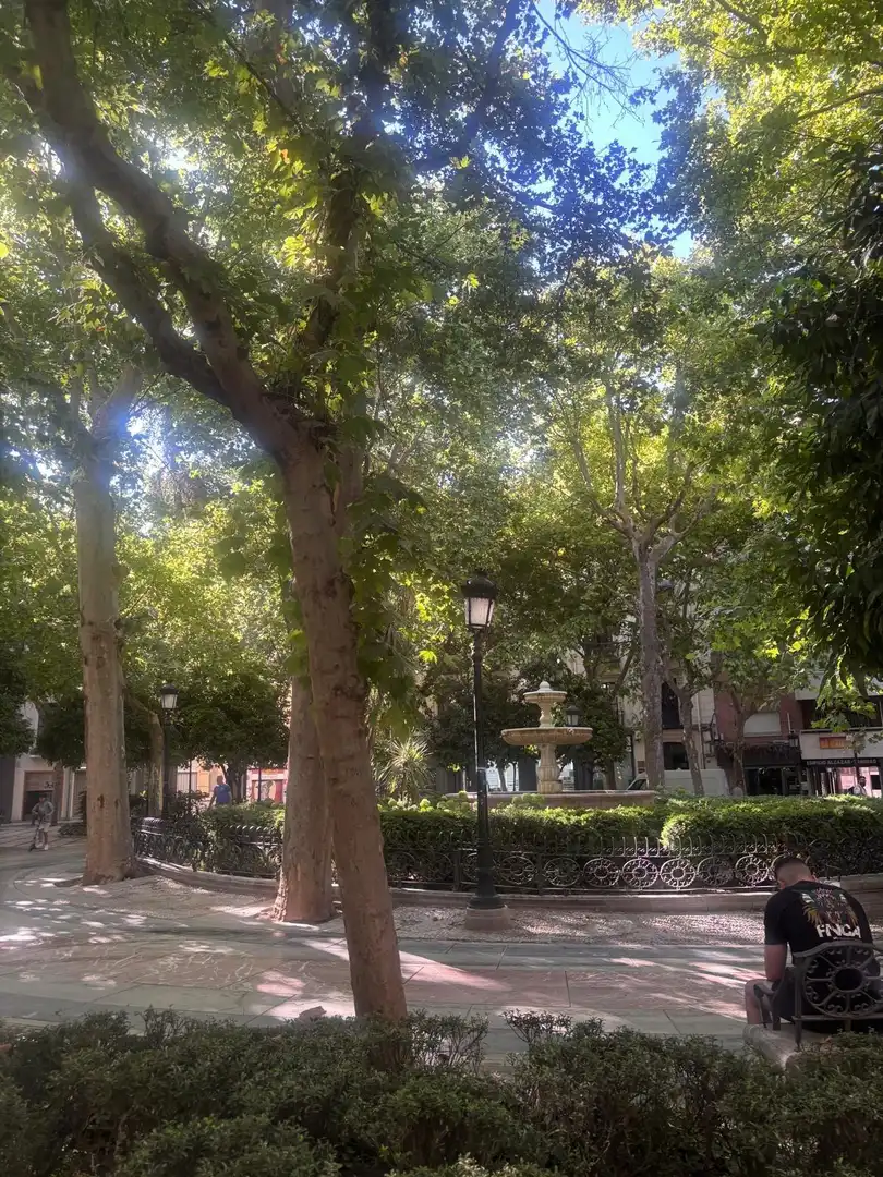 Vista exterior de Pis de lloguer en Granada amb Moblat