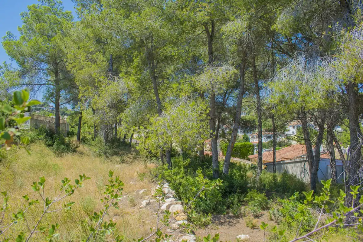 Wohnbaugrundstück zum Verkauf in La Fustera, imagen 33