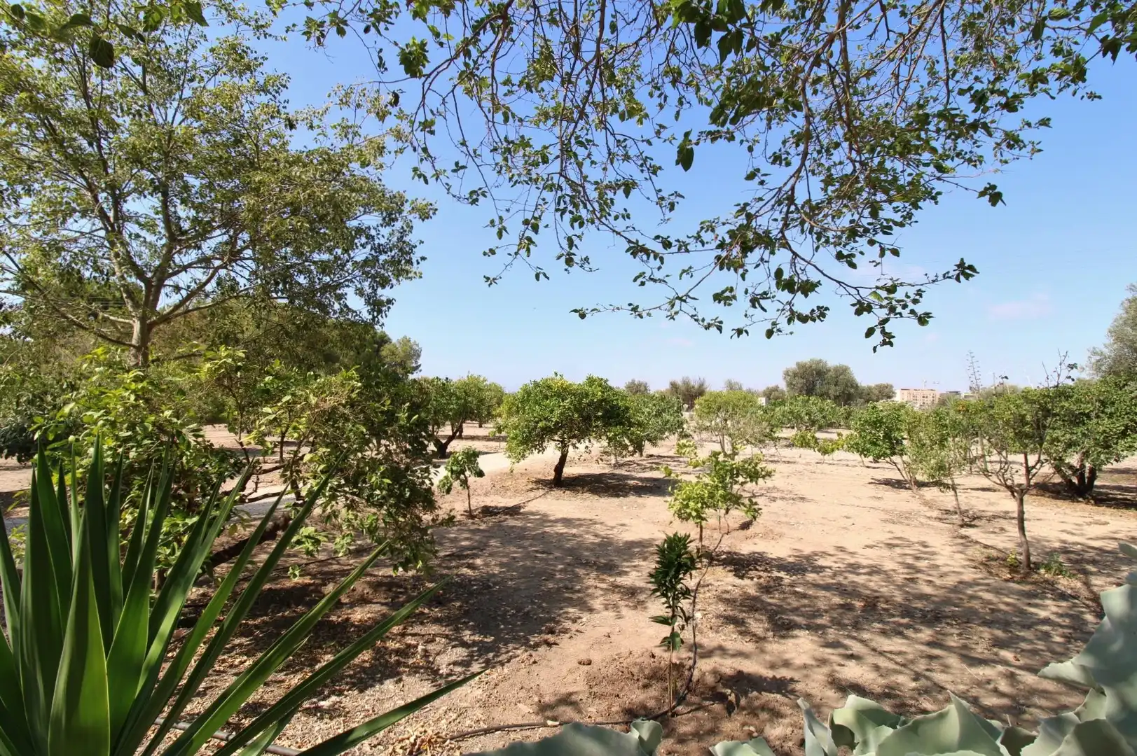 Houses for rent in Sant Joan d'Alacant  with Private garden, Terrace and Swimming Pool