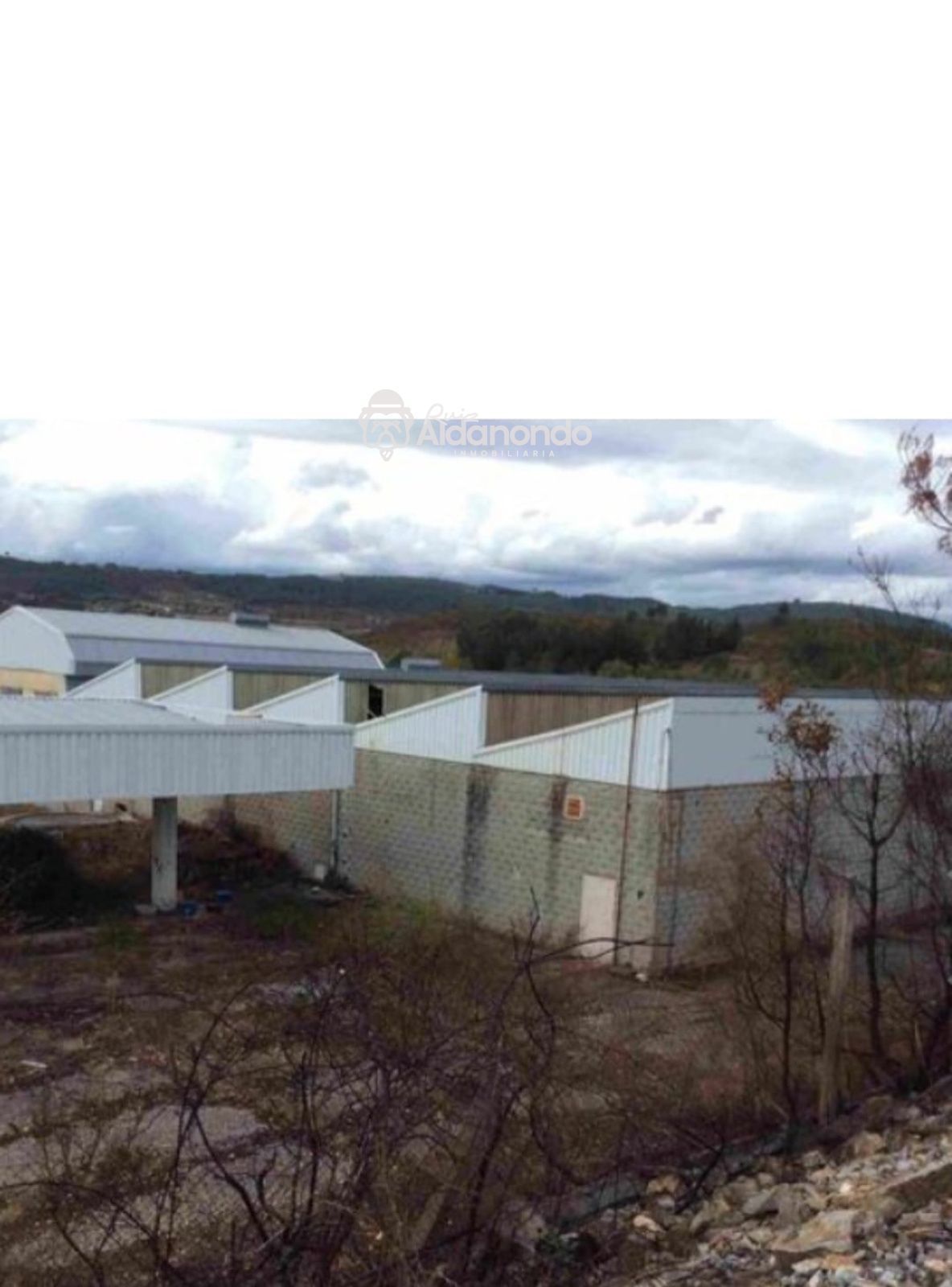 Vista exterior de Nau industrial en venda en Monforte de Lemos