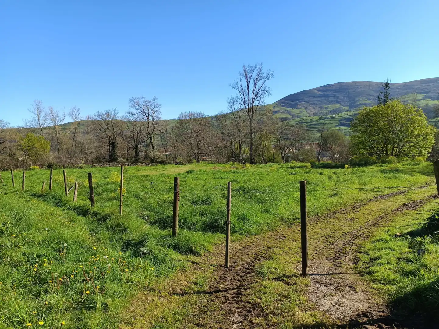 Terreni e lotti in vendita a Selaya - LA MIES, imagen 7