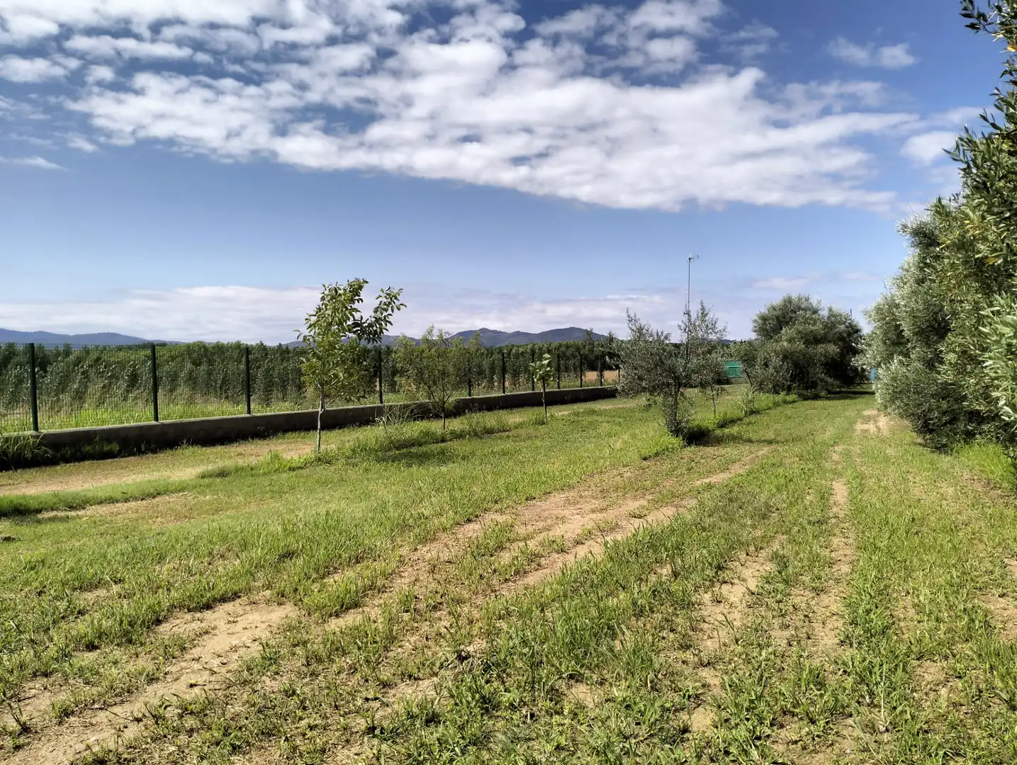 Casa o xalet en venda en Cervià de Ter amb Jardí privat, Terrassa i Balcó