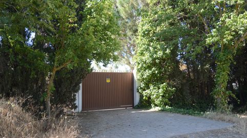 Foto 3 de Finca rústica en venta en Fuente El Saz de Jarama, Madrid