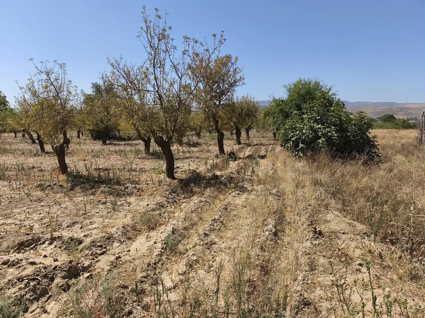 Rural land for sale in 2C55+9GC Cozvijar 0, imagen 19