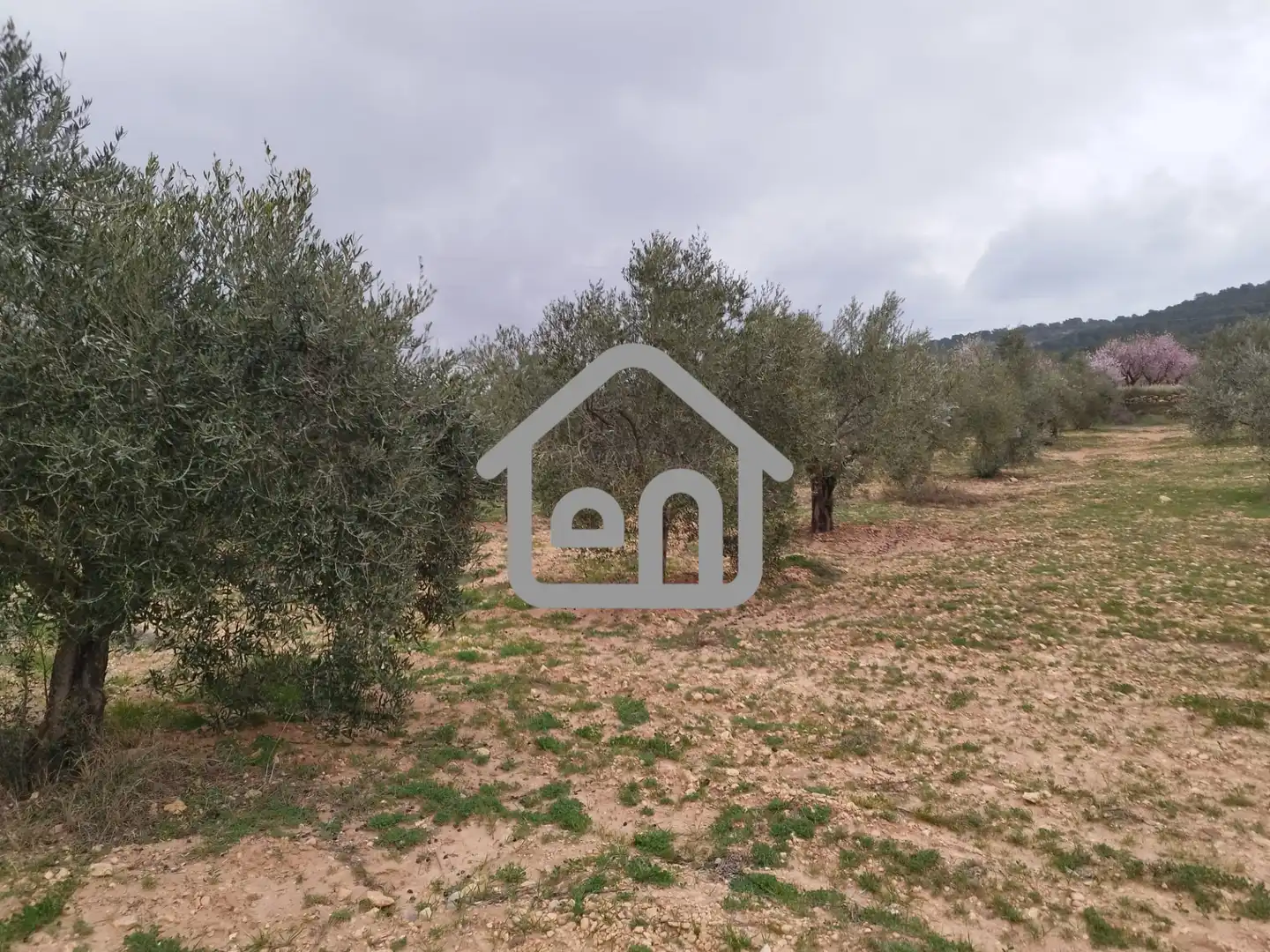 Rural land for sale in Requena, imagen 6